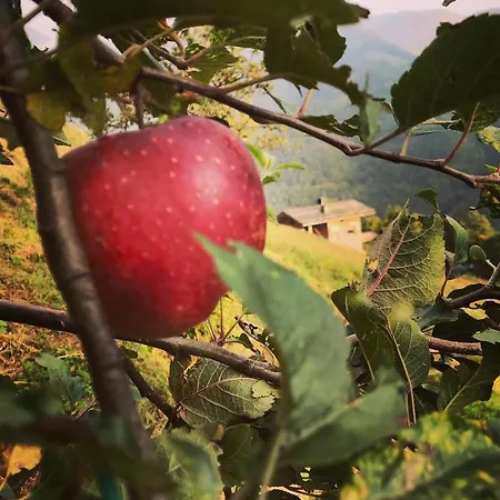 Gospodarstwo agroturystyczne Agriturismo Salvasecca Valbondione